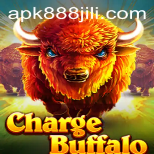 Exploring ChargeBuffalo